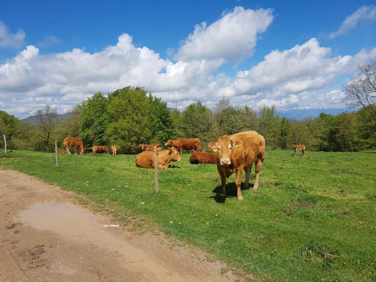 Santuari De La Salut De Sant Felíu de Pallarols エクステリア 写真