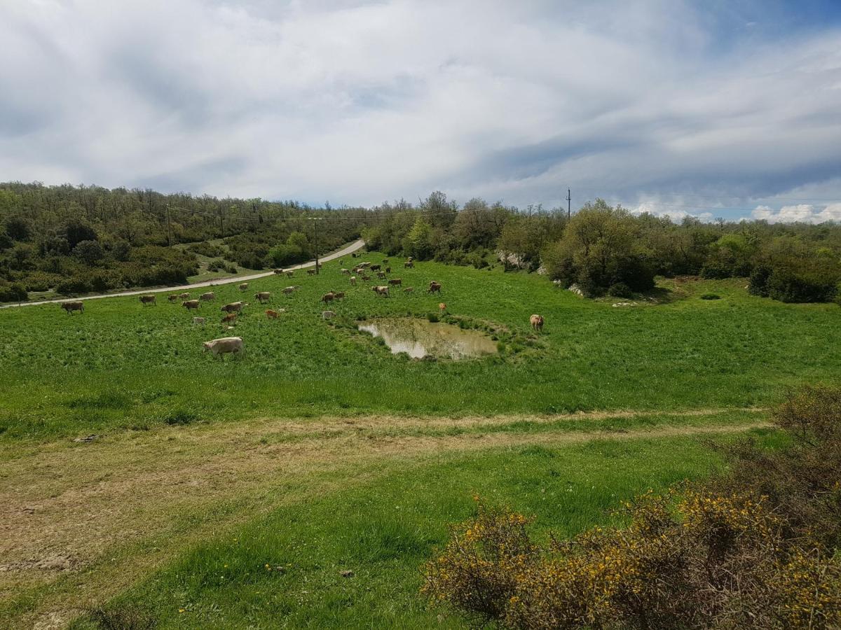 Santuari De La Salut De Sant Felíu de Pallarols エクステリア 写真