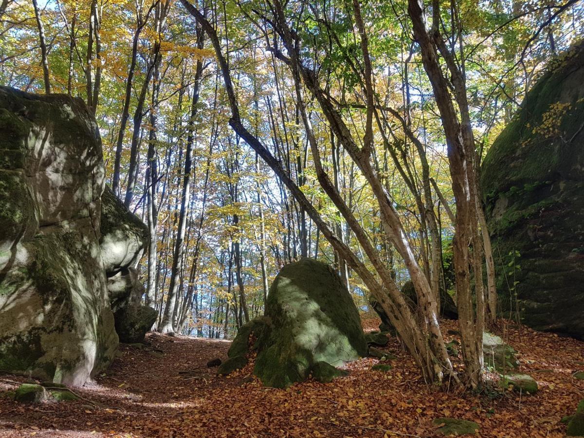 Santuari De La Salut De Sant Felíu de Pallarols エクステリア 写真