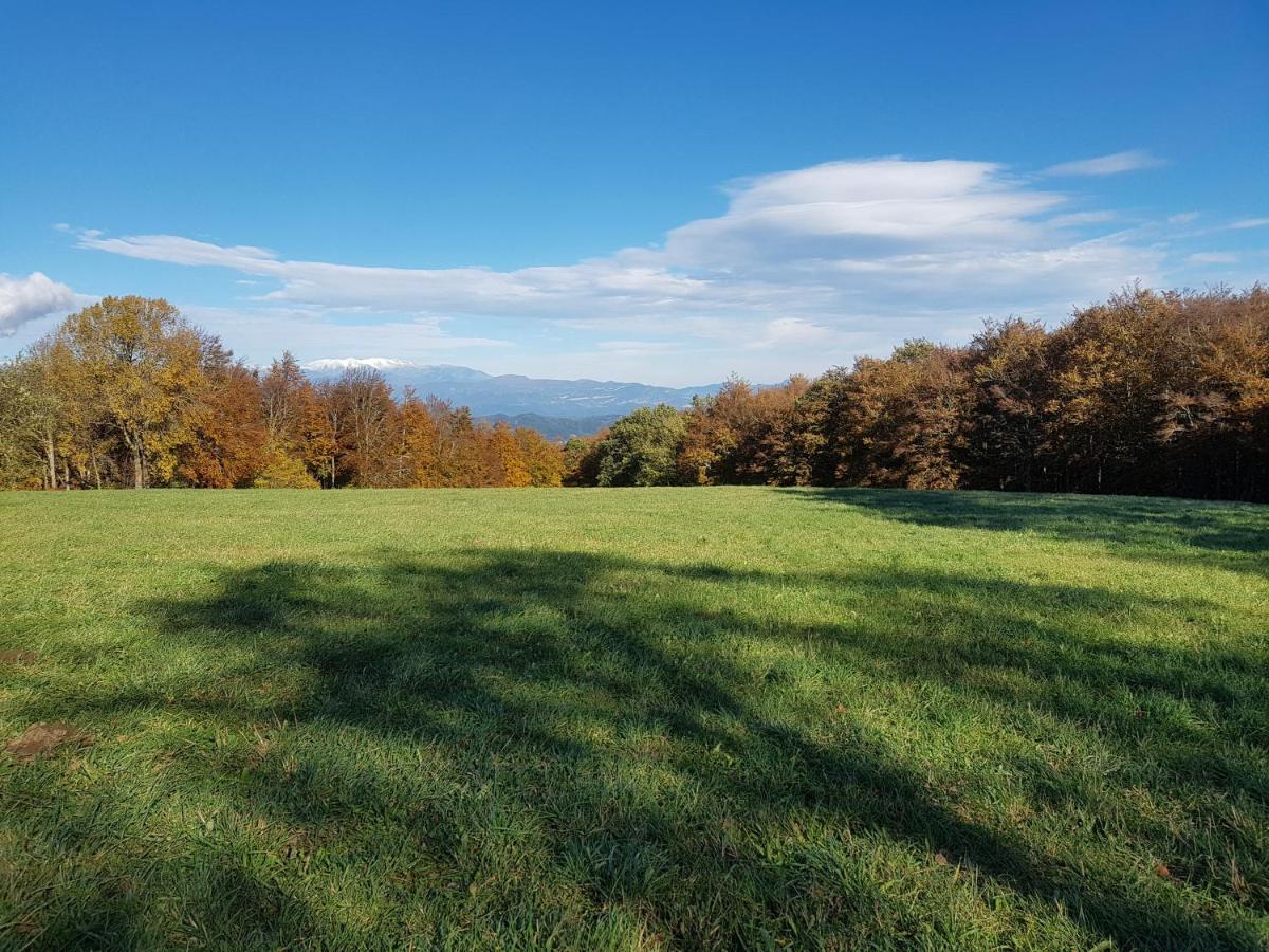 Santuari De La Salut De Sant Felíu de Pallarols エクステリア 写真